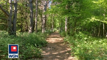 Grunt rolny na sprzedaż Podlesice